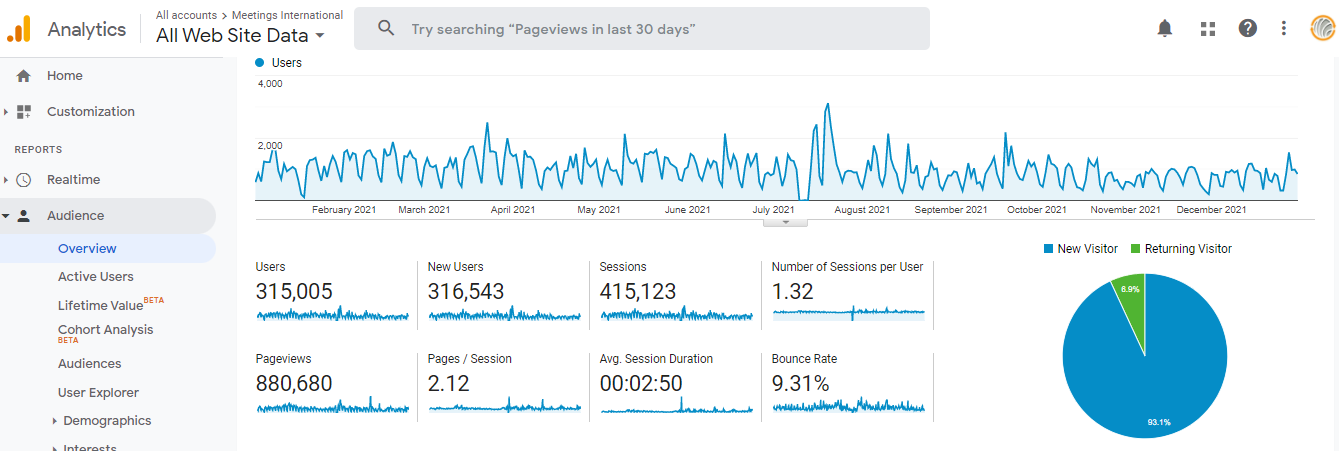 Visitor Analysis Report